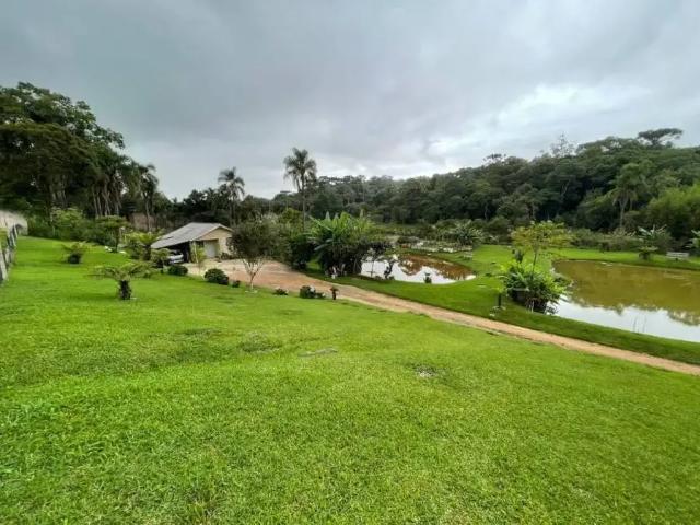 Terreno comercial para Venda em São José dos Pinhais/PR Colônia Rio Grande
