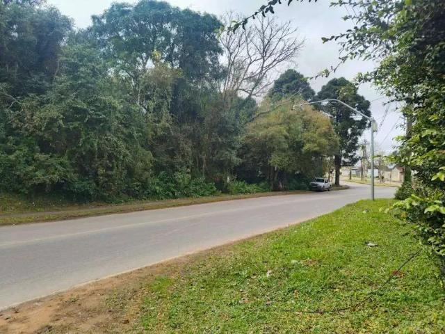 Terreno comercial para Venda em São José dos Pinhais/PR Costeira