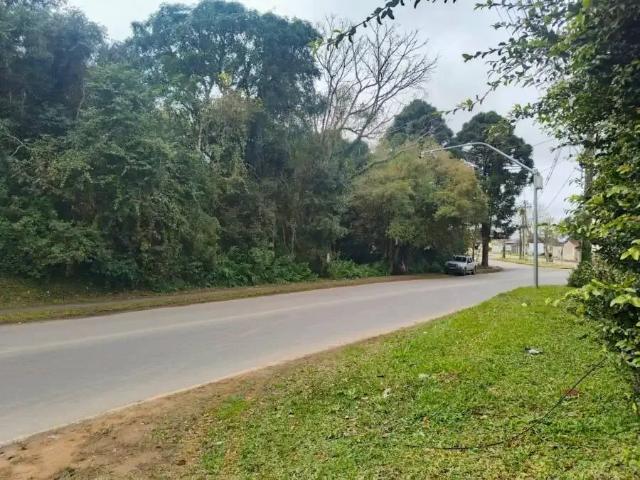 Terreno comercial para Venda em São José dos Pinhais/PR Costeira
