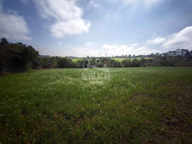 Terreno comercial para Venda em São José dos Pinhais/PR Campo Largo da Roseira