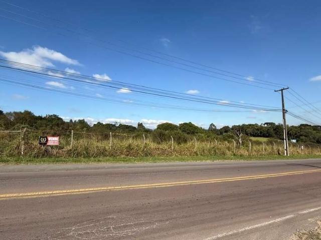 Terreno comercial para Venda em São José dos Pinhais/PR Campo Largo da Roseira