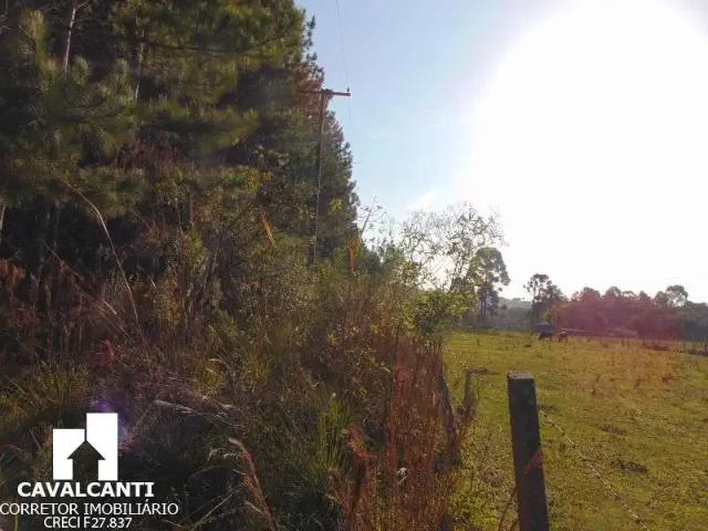 Terreno comercial para Venda em São José dos Pinhais/PR Campina do Taquaral