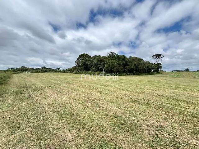 Terreno comercial para Venda em São José dos Pinhais/PR Centro