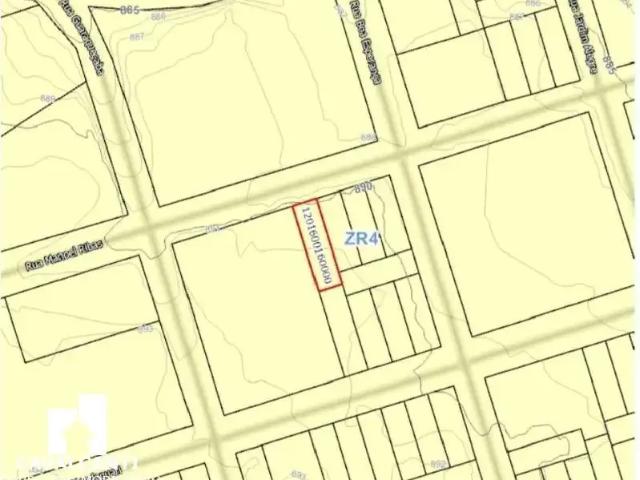Terreno comercial para Venda em São José dos Pinhais/PR Cruzeiro