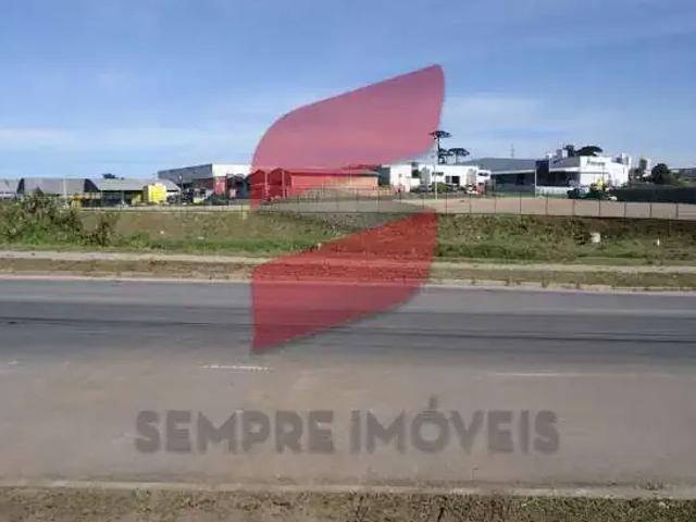 Terreno comercial para Venda em São José dos Pinhais/PR Águas Belas