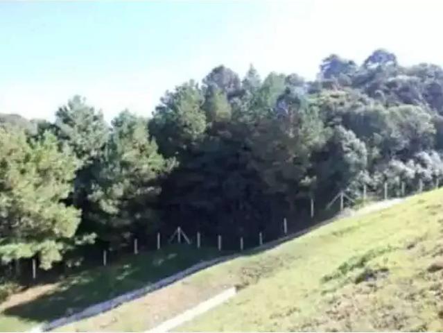 Terreno comercial para Venda em São José dos Pinhais/PR Arujá