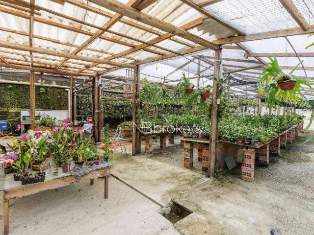 Terreno comercial para Venda em São José dos Pinhais/PR Área Rural de São José dos Pinhais