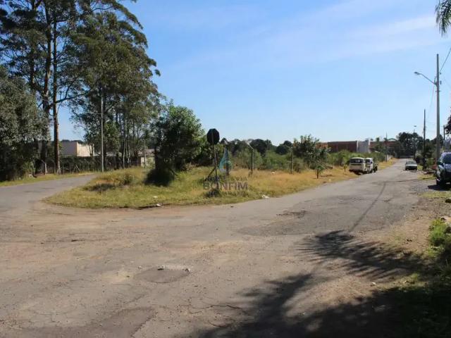 Terreno comercial para Venda em São José dos Pinhais/PR Borda do Campo