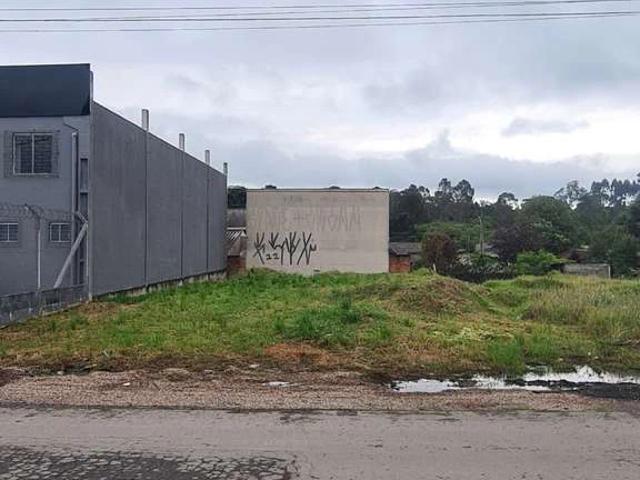 Terreno comercial para Venda em São José dos Pinhais/PR Borda do Campo