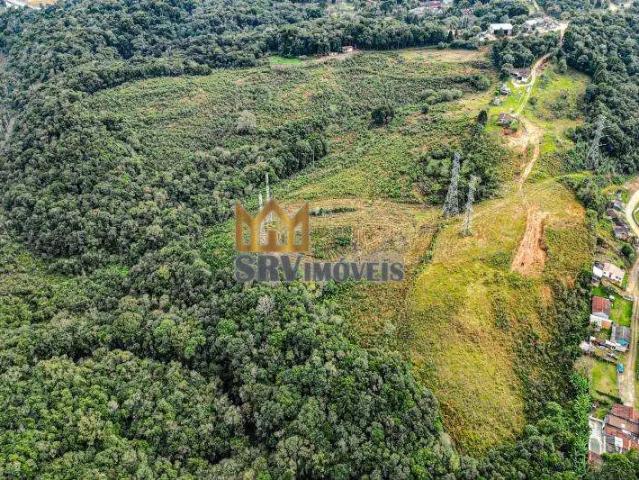 Terreno comercial para Venda em São José dos Pinhais/PR Barro Preto