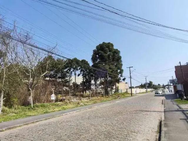 Terreno comercial para Venda em São José dos Pinhais/PR Guatupê