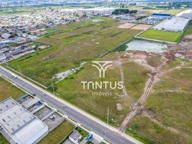 Terreno comercial para Venda em São José dos Pinhais/PR Ipê