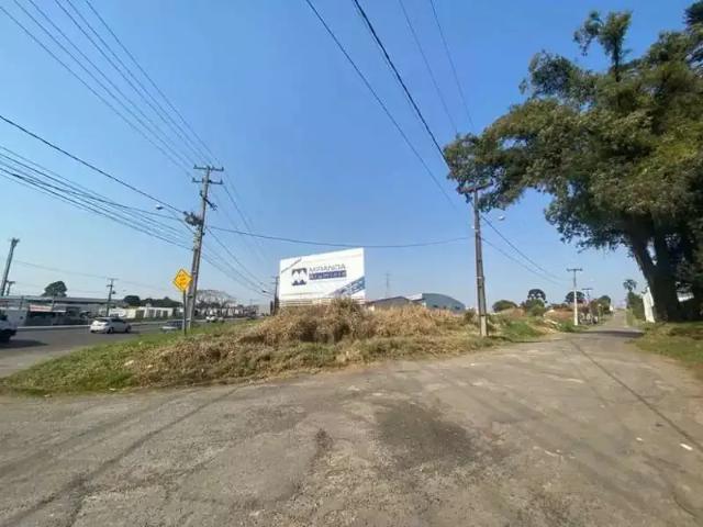 Terreno comercial para Venda em São José dos Pinhais/PR Itália