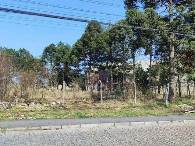 Terreno comercial para Venda em São José dos Pinhais/PR Jardim Cristal