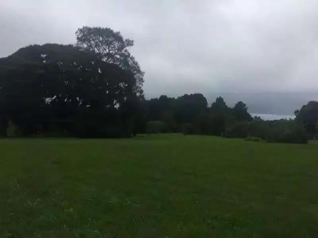 Terreno comercial para Venda em São José dos Pinhais/PR Jurema