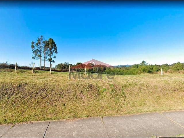 Terreno comercial para Venda em São José dos Pinhais/PR Miringuava