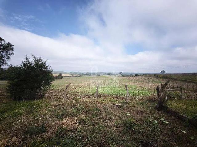 Terreno comercial para Venda em São José dos Pinhais/PR Miringuava