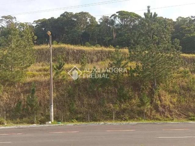 Terreno comercial para Venda em São José/SC Sertão do Maruim