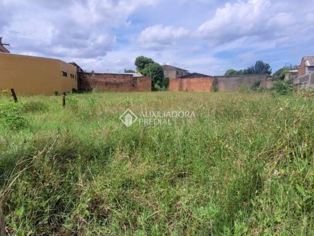 Terreno comercial para Venda em São Leopoldo/RS Scharlau