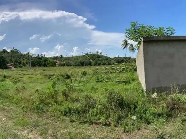 Terreno comercial para Venda em São Miguel dos Milagres/AL Porto da Rua