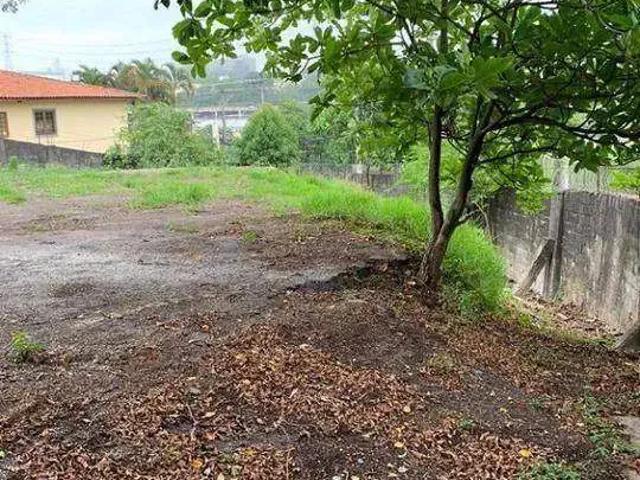 Terreno comercial para Venda em São Paulo/SP Butantã