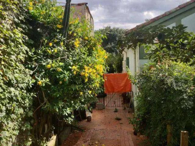 Terreno comercial para Venda em São Paulo/SP Cidade Vargas
