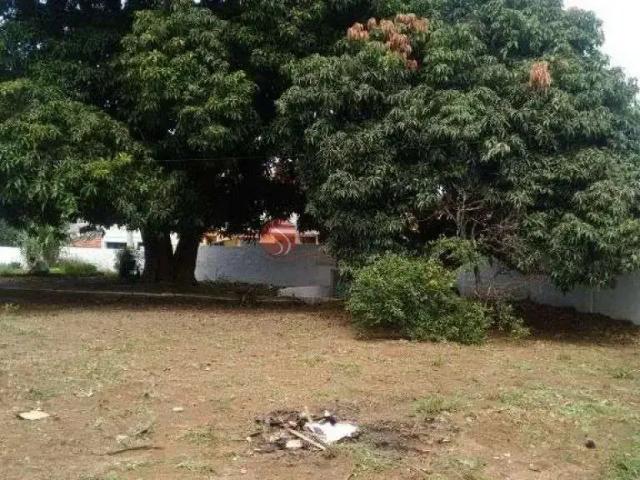 Terreno comercial para Venda em São Paulo/SP Ermelino Matarazzo