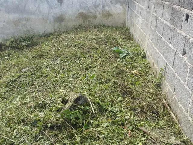 Terreno comercial para Venda em São Paulo/SP Jardim Colonial