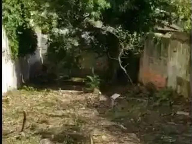 Terreno comercial para Venda em São Paulo/SP Jardim Petrópolis