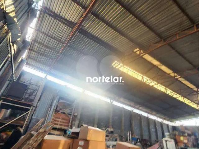 Terreno comercial para Venda em São Paulo/SP Limão