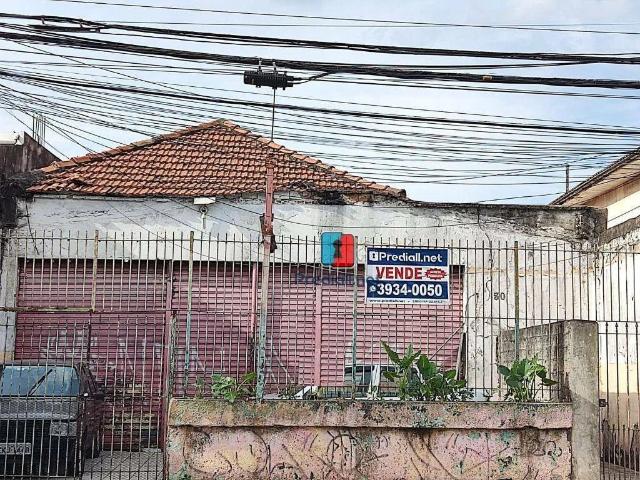 Terreno comercial para Venda em São Paulo/SP Limão