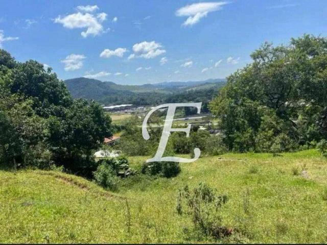Terreno comercial para Venda em São Paulo/SP Parque Edu Chaves