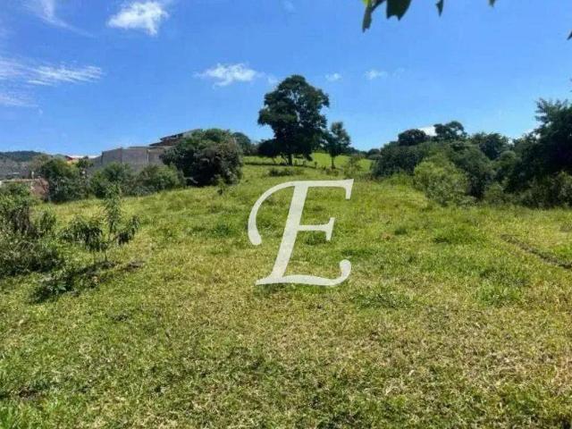 Terreno comercial para Venda em São Paulo/SP Parque Edu Chaves