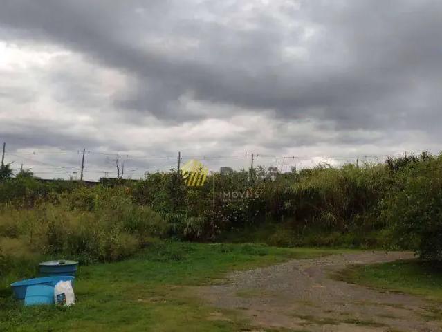 Terreno comercial para Venda em São Paulo/SP Quinta da Paineira