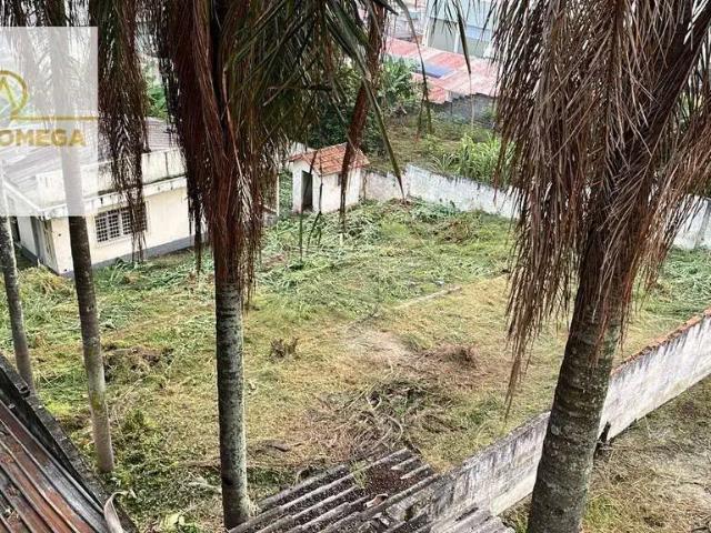 Terreno comercial para Venda em São Paulo/SP Vila Amélia