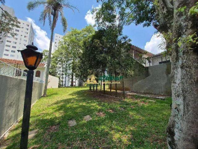 Terreno comercial para Venda em São Paulo/SP Vila Albertina