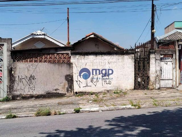 Terreno comercial para Venda em São Paulo/SP Vila Guilherme