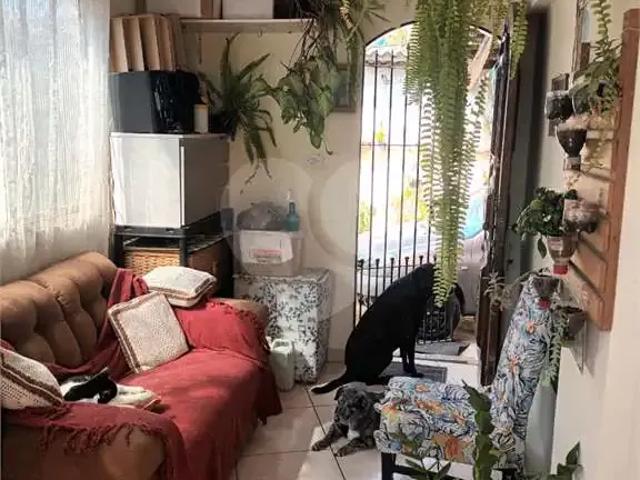 Terreno comercial para Venda em São Paulo/SP Vila Matilde 3 Quartos