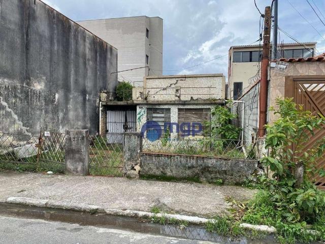 Terreno comercial para Venda em São Paulo/SP Vila Maria