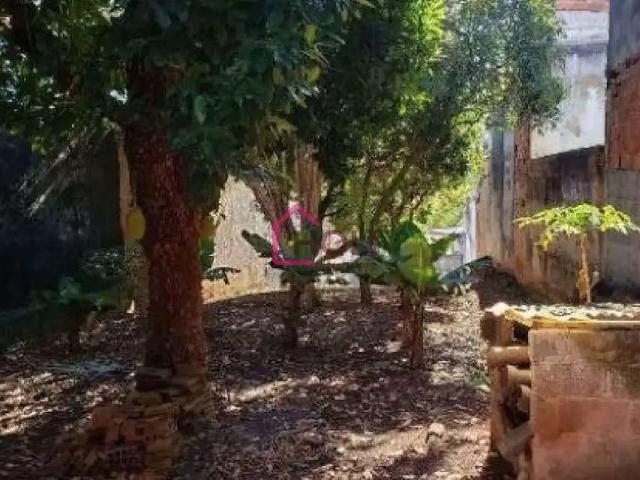 Terreno comercial para Venda em São Paulo/SP Vila Pierina