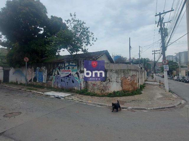 Terreno comercial para Venda em São Paulo/SP Vila Plana
