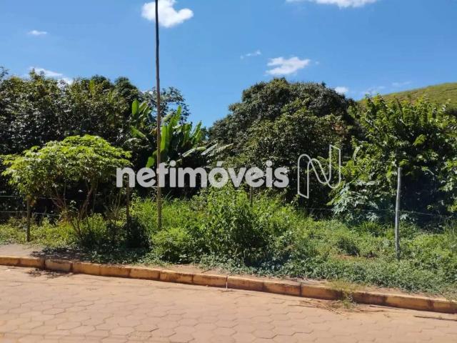 Terreno comercial para Venda em São Pedro dos Ferros/MG Encruzilhada