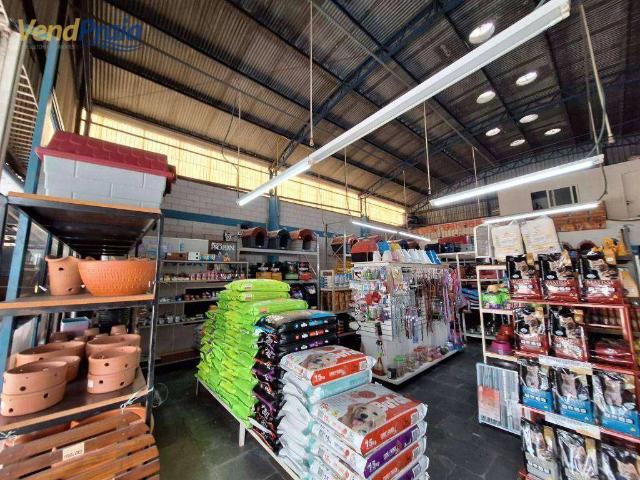 Terreno comercial para Venda em São Sebastião/SP Vila Amélia
