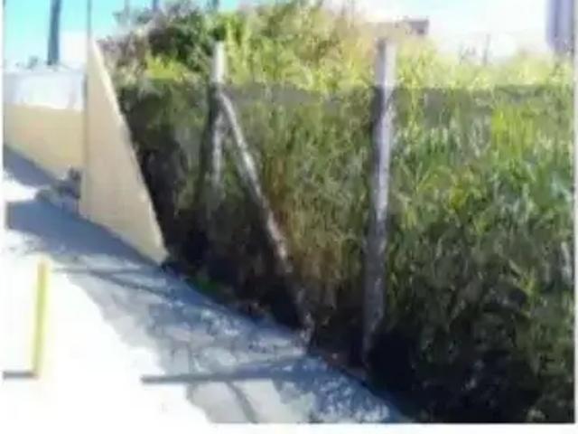 Terreno comercial para Venda em Salvador/BA Pituaçu