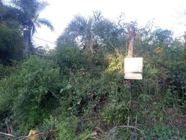 Terreno comercial para Venda em Santa Maria/RS Chácara das Flores