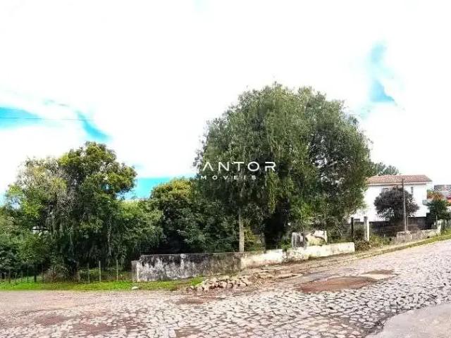 Terreno comercial para Venda em Santa Maria/RS km 3