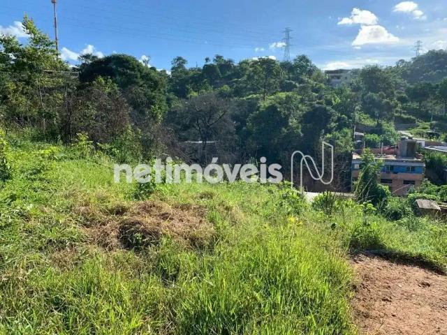 Terreno comercial para Venda em Santa Luzia/MG Duquesa II São Benedito