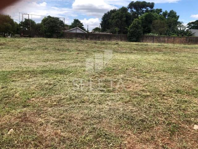 Terreno comercial para Venda em Santa Tereza do Oeste/PR Centro