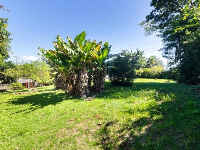 Terreno comercial para Venda em Santana de Parnaíba/SP Jardim Professor Benoá