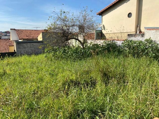 Terreno comercial para Venda em Santo André/SP Vila Curuçá
